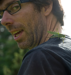 BB 10 0276 / Tettigonia viridissima / Grønn løvgresshoppe